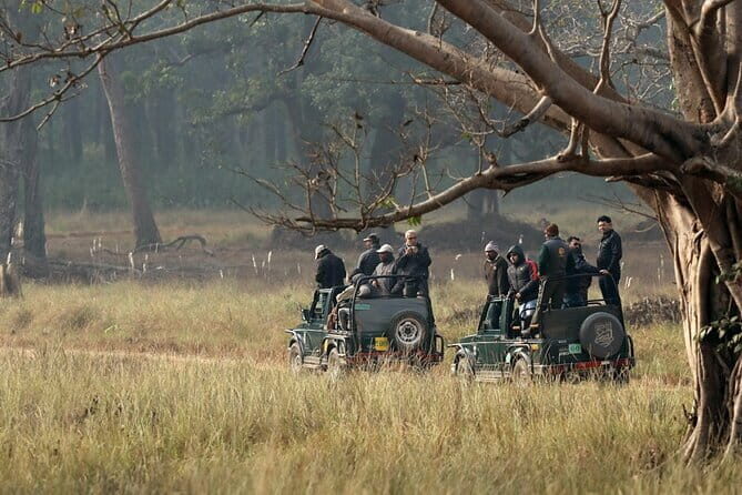 Wildlife Safari in Bandhavgarh, Kanha & Pench National Parks - Key Points