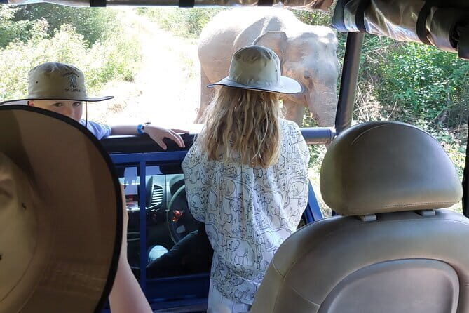 Wildlife Safari Yala National park - What Makes this Tour Stand Out?