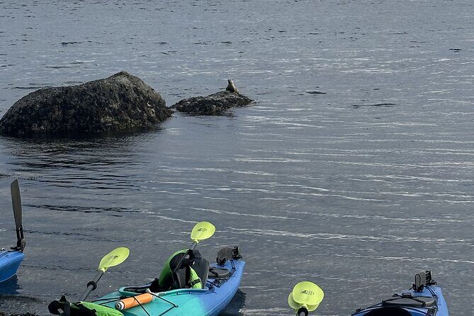 Wildlife Spotting Kayak Adventure on Orcas Island - Final Thoughts