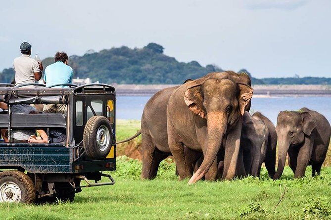 Wildlife Sri Lanka Tour 10 Days - Key Points