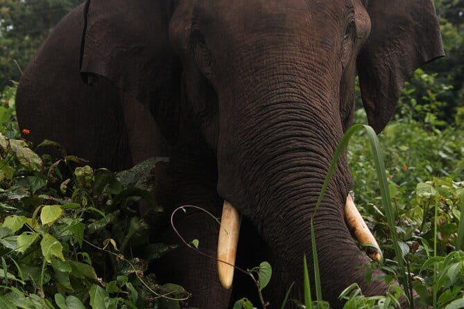 Wildlife Tour A Journey Through 3 Sanctuaries - Key Points
