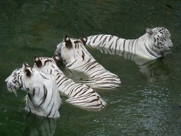 Wildlife trail in Chennai - An in-depth look at the wildlife trail experience