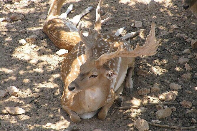 Wildlife trail in Chennai - FAQ