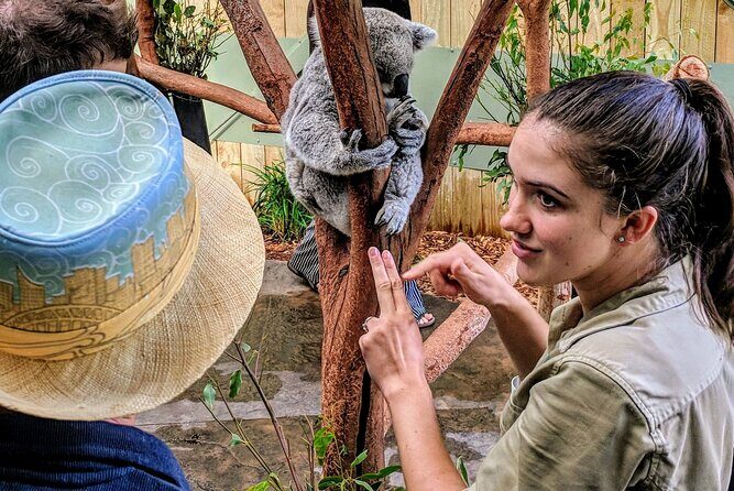 Wildlife, Waterfalls and Wine Day Tour from Sydney - Key Points