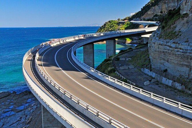 Wildlife, Wine & Waves  Epic South Coast Adventure from Sydney - Key Points