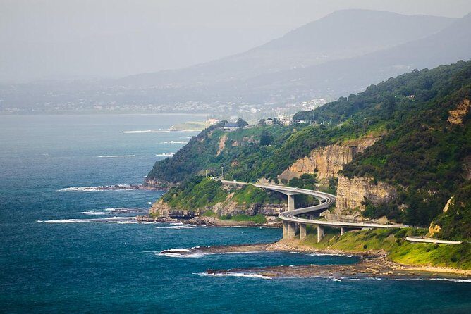 Wildlife, Wine & Waves  Epic South Coast Adventure from Sydney - Considering the Value