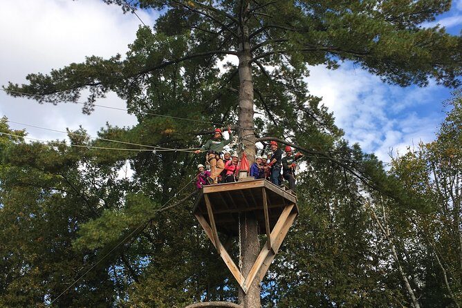 Wildman Zip Line Tour - Practical Tips for Visitors