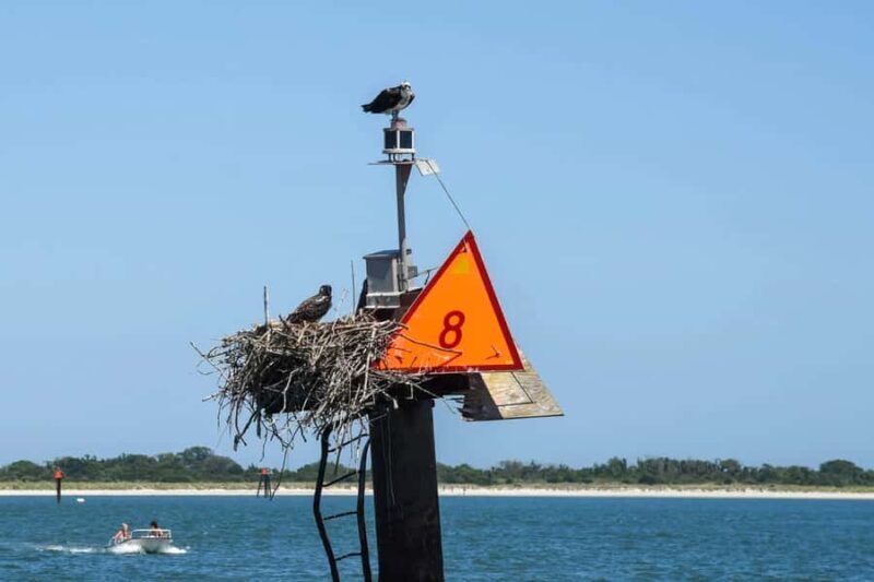 Wildwood: Scenic Back Bay Cruise with Sandbar Joe - An Authentic Look at the Wildwood Back Bay Cruise