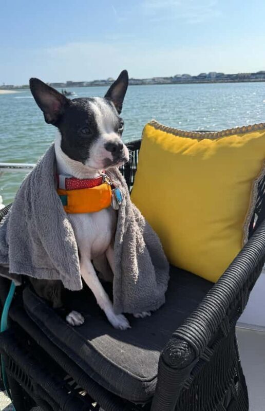 Wildwood: Scenic Back Bay Cruise with Sandbar Joe - Practical Details