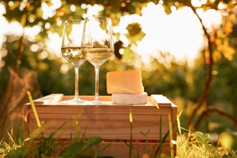 Willamette Valley Wine Tour - The transportation: comfort and convenience