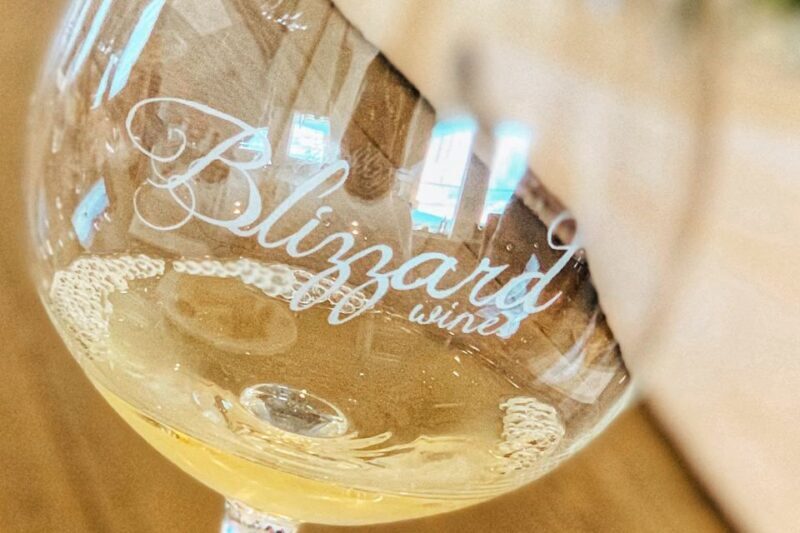 Willamette Valley Wine Tour - Final thoughts: is this worth your while?