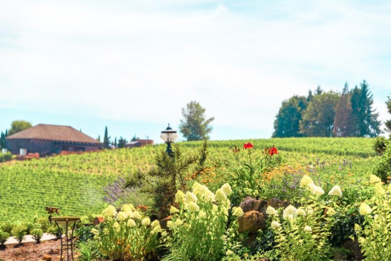 Willamette Valley Wine Tour - The Sum Up