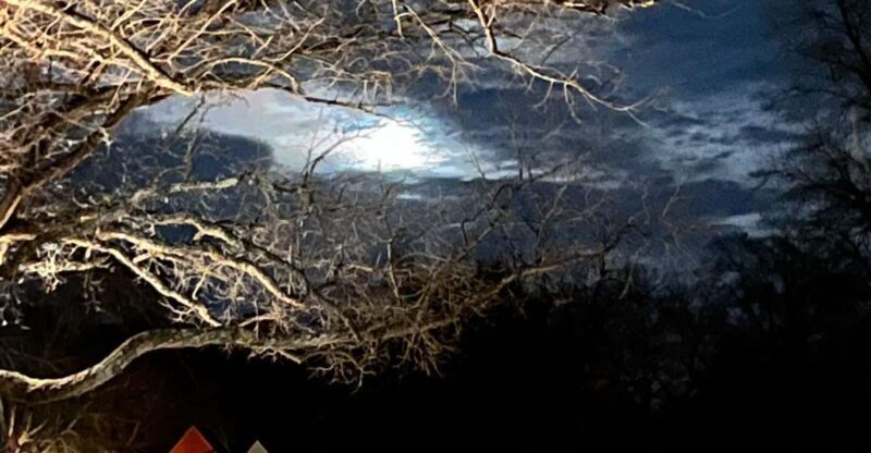 Williamsburg: Dead of Night Paranormal investigations Tour - Introduction: What Is the Williamsburg: Dead of Night Paranormal Investigations Tour?