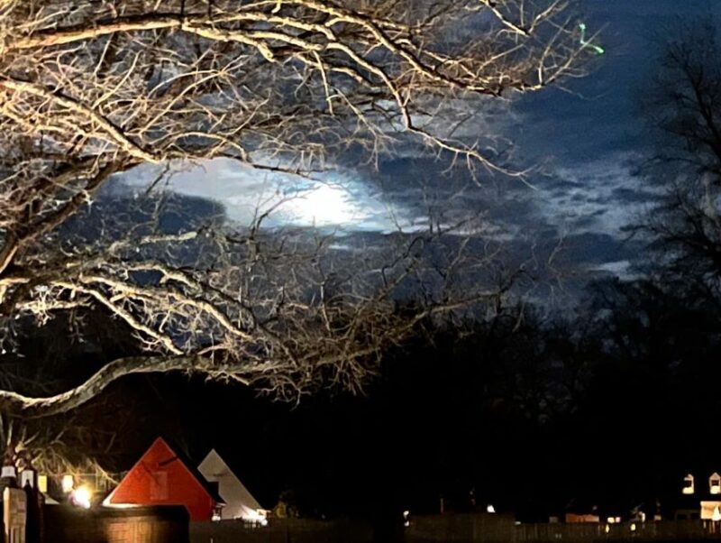 Williamsburg: Dead of Night Paranormal investigations Tour - Key Points