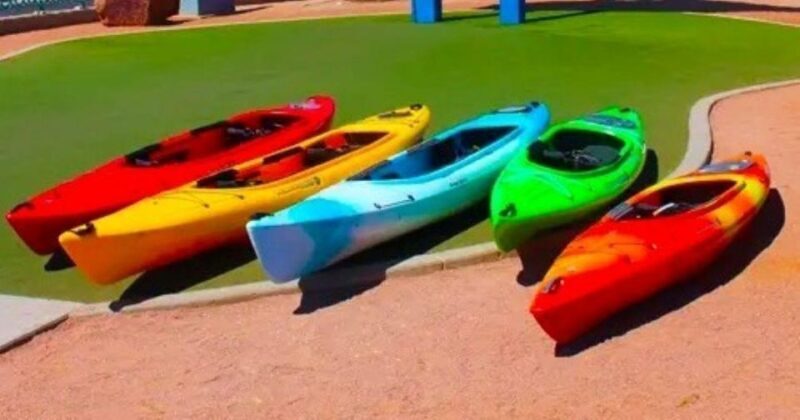 Willow Beach: Black Canyon Kayak Half Day Kayak Rentals - Final Thoughts
