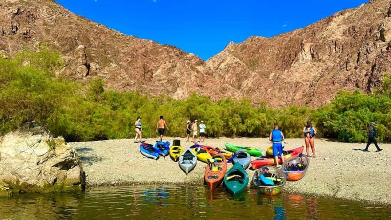 Willow Beach: Emerald Cave Kayaking Tour - Wildlife and Nature