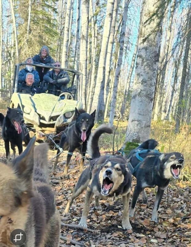 Willow: Fall Dog Sled Adventure - Final Thoughts: Why This Tour Is Worth Considering
