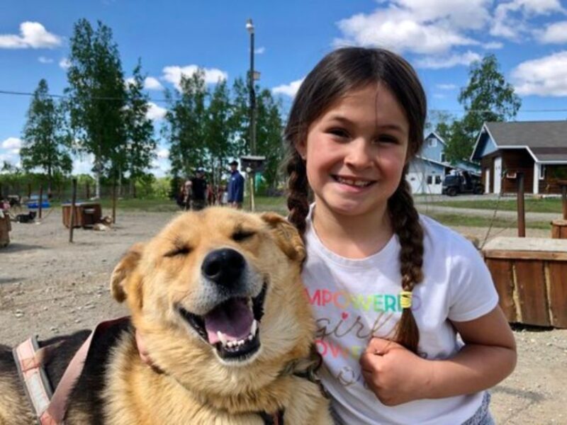 Willow: Summer Dog Sledding Ride in Alaska - What to Expect from the Willow Summer Dog Sledding Tour