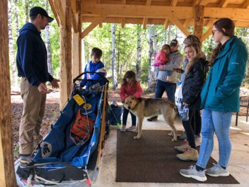 Willow: Summer Dog Sledding Ride in Alaska - Final Thoughts: Is This Tour Right for You?