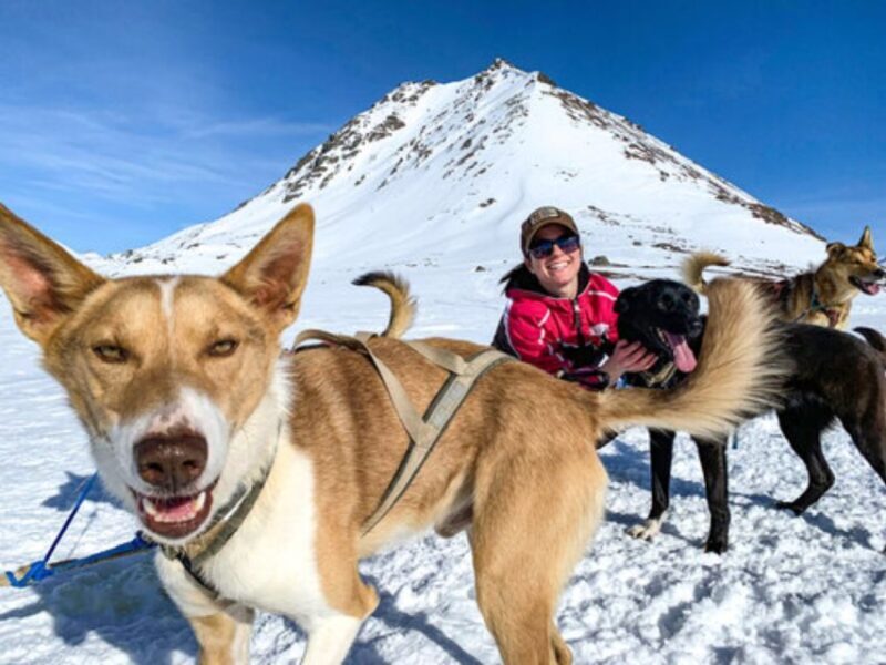 Willow: Traditional Alaskan Dog Sledding Ride - Setting the Scene: What to Expect