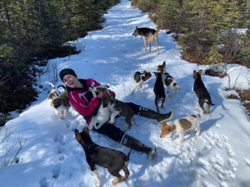 Willow: Traditional Alaskan Dog Sledding Ride - Final Thoughts