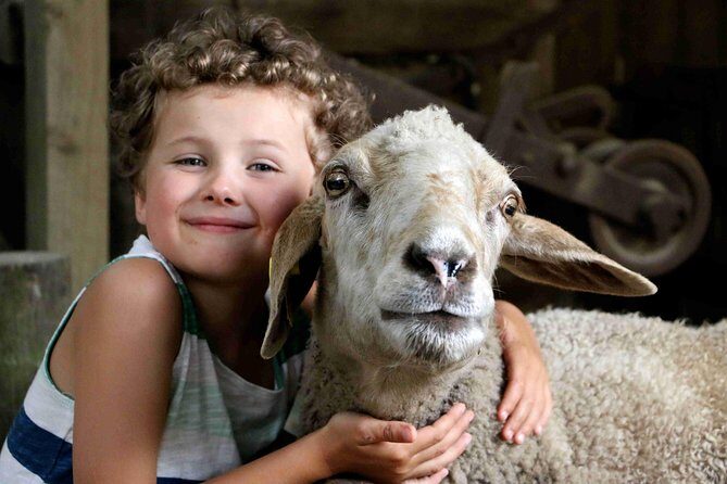 Willowbank Wildlife Reserve Day Entry - Exploring Willowbank Wildlife Reserve: An Authentic Kiwi Encounter