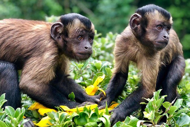 Willowbank Wildlife Reserve Day Entry - Key Points