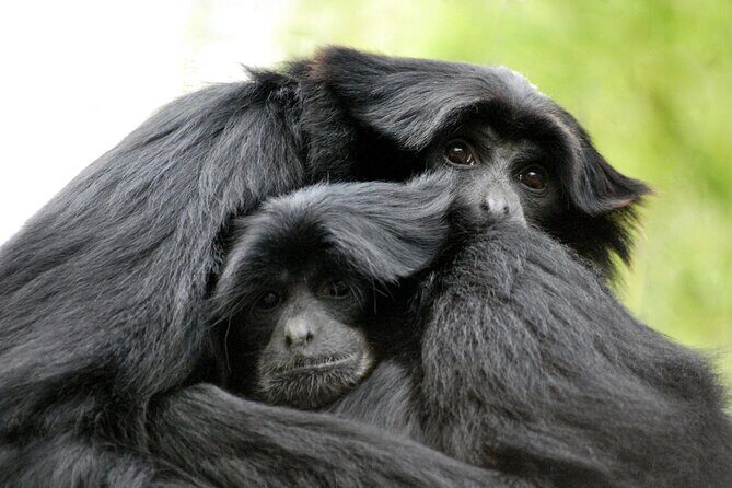 Willowbank Wildlife Reserve Day Entry - The Sum Up