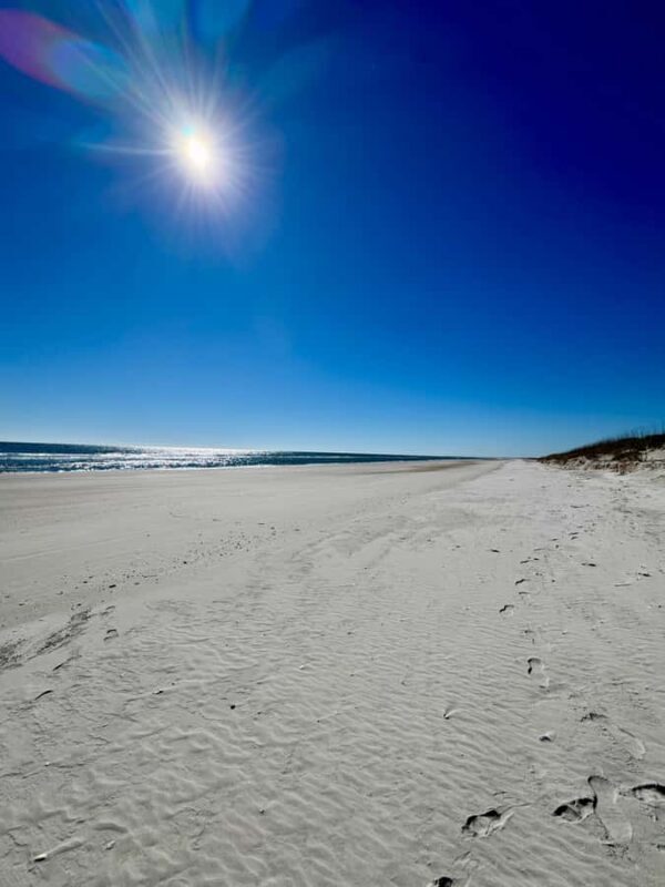 Wilmington, North Carolina: Tour of Masonboro Island - Why This Tour Offers Great Value