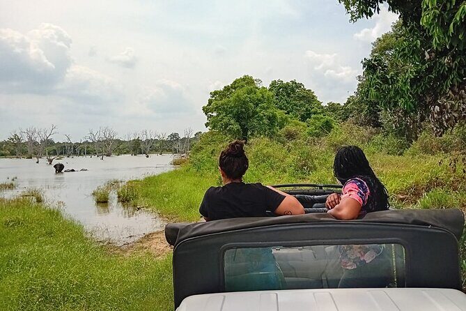 Wilpattu National Park Leopard safari from Colombo/Negambo - Who Should Consider This Tour?