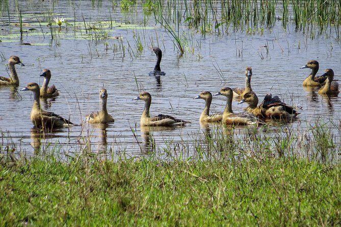 Wilpattu National Park Safari with Naturalist - Pricing and Value