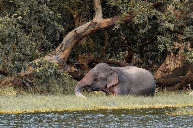 Wilpattu National Park Safari with Naturalist - Meeting Points and Accessibility