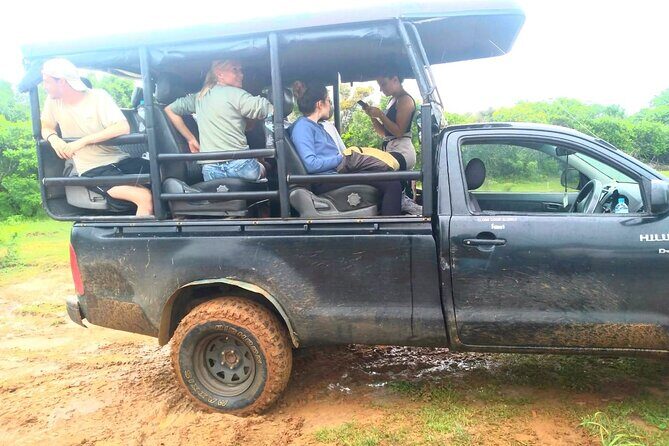 Wilpattu National Park Safari with Pigeon Island Tours - What to Expect from the Wilpattu Safari