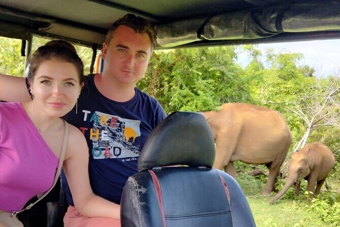 Wilpattu National Park Safari with Pigeon Island Tours - The Sum Up