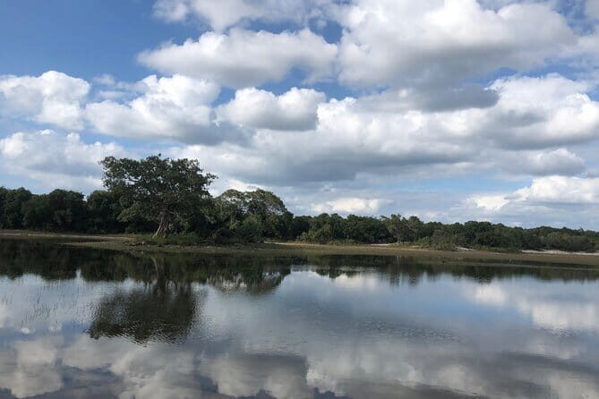 Wilpattu Safari tour from Negombo - Introducing Wilpattu National Park: Why It’s Special
