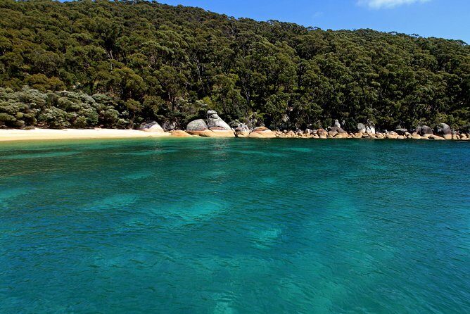Wilsons Promontory Full Day Cruise - Who Will Love This Tour?