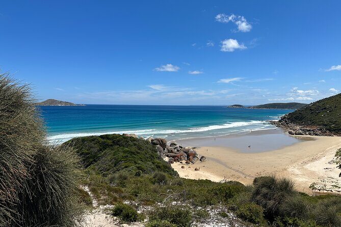 Wilsons Promontory Wilderness Day Tour - Who Would Enjoy This Tour?