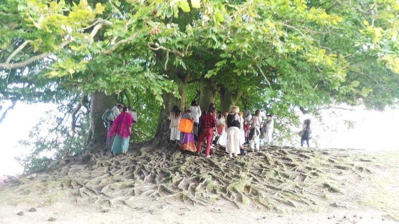 Wiltshire: Mystical and Dragons Guided Driving Tour - The Sum Up