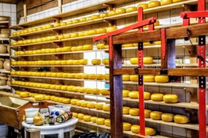 Windmills Country side tour Zaanse Schans Cheesefactory-Volendam - Authentic Insights from Past Travelers