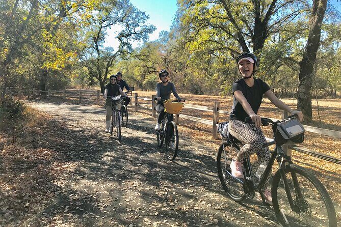 Windsor Bike 'N BeerTour - Windsor Bike N BeerTour: A Refreshing Spin Through Sonoma’s Craft Beer Scene