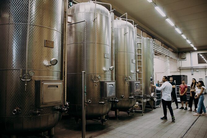 Wine and Balsamic Vinegar Tour with Tasting - What to Expect from Each Part of the Tour