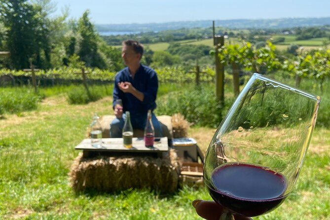 Wine and Cheese Tasting Tour in Cheddar Valley - An In-Depth Look at the Tour