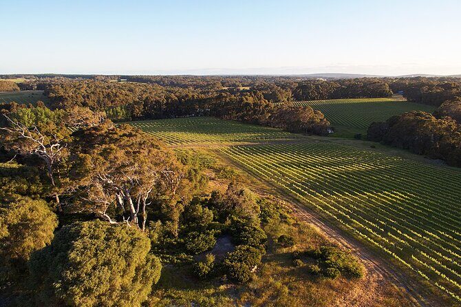 Wine and Chocolate Bonbon Tasting in Margaret River - Key Points