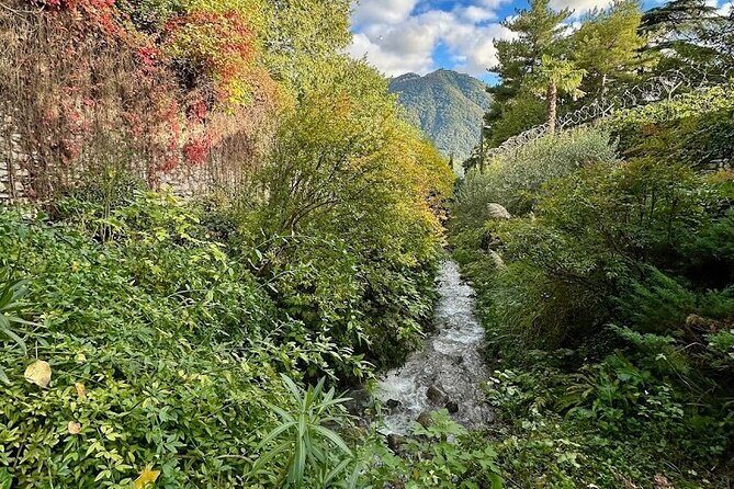 Wine and Culture on the Lake: An Italian Experience in Como - The Experience Itself: A Step-by-Step Breakdown