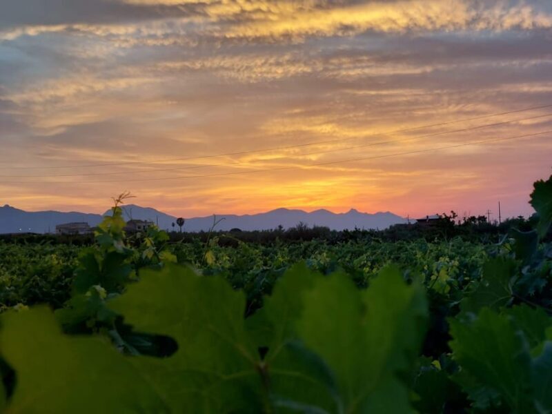 Wine and food at sunset - An In-Depth Look at the Experience