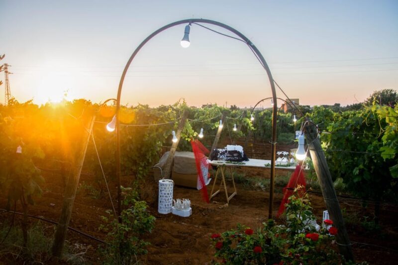 Wine and food at sunset - Who Should Book This Experience