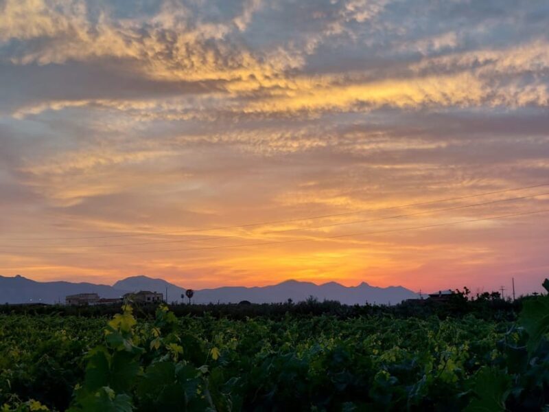 Wine and food at sunset - FAQ