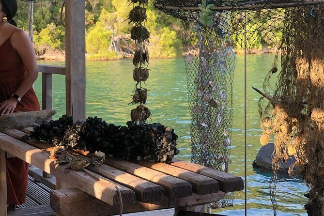 Wine and Food Daily Tour - FAQ