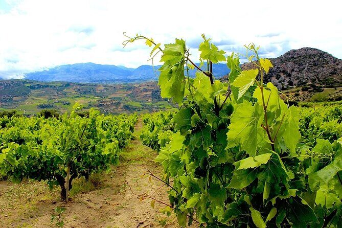 Wine and Food of Crete, Heraklion - The Sum Up