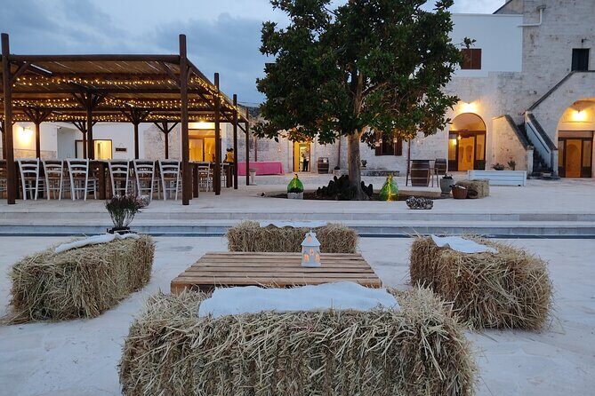 Wine and Food Pairing Experience at Alberobello Winery - The Sum Up